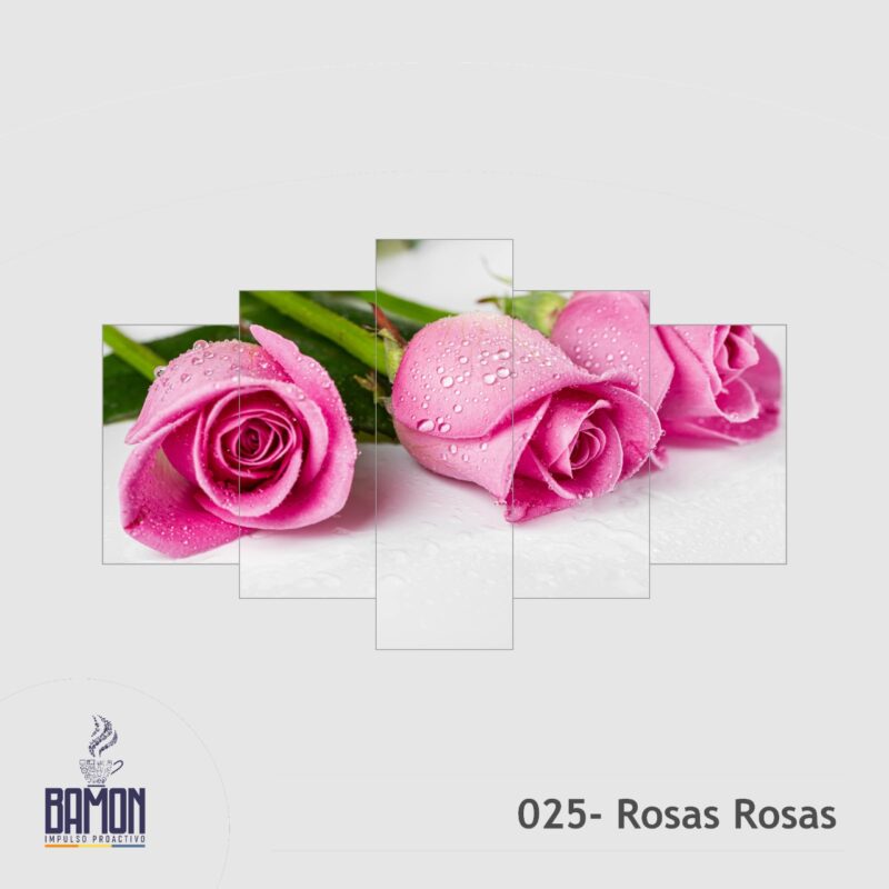 Multicuadro de 5 Piezas de Rosas Rosas