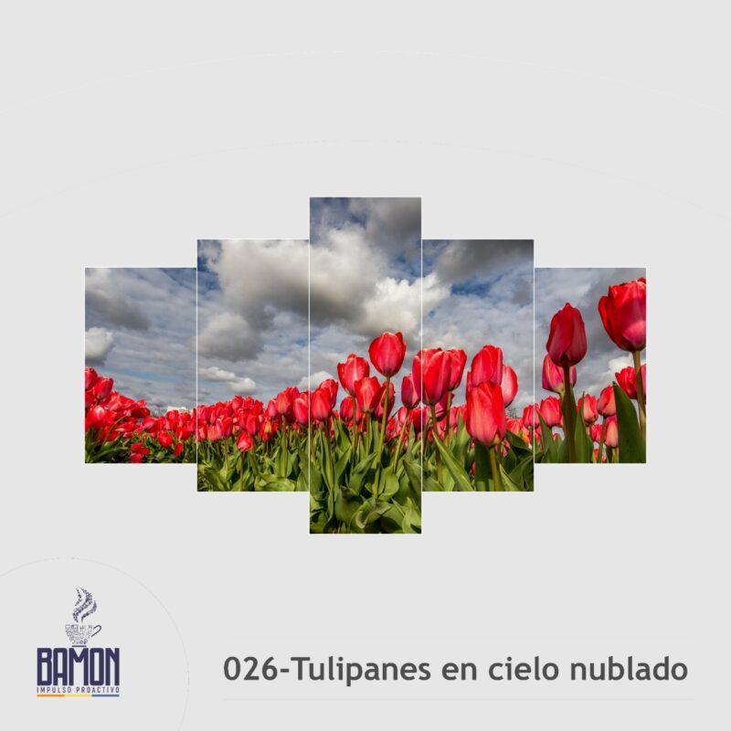 Multicuadro de 5 Piezas de Tulipanes en Cielo Nublado