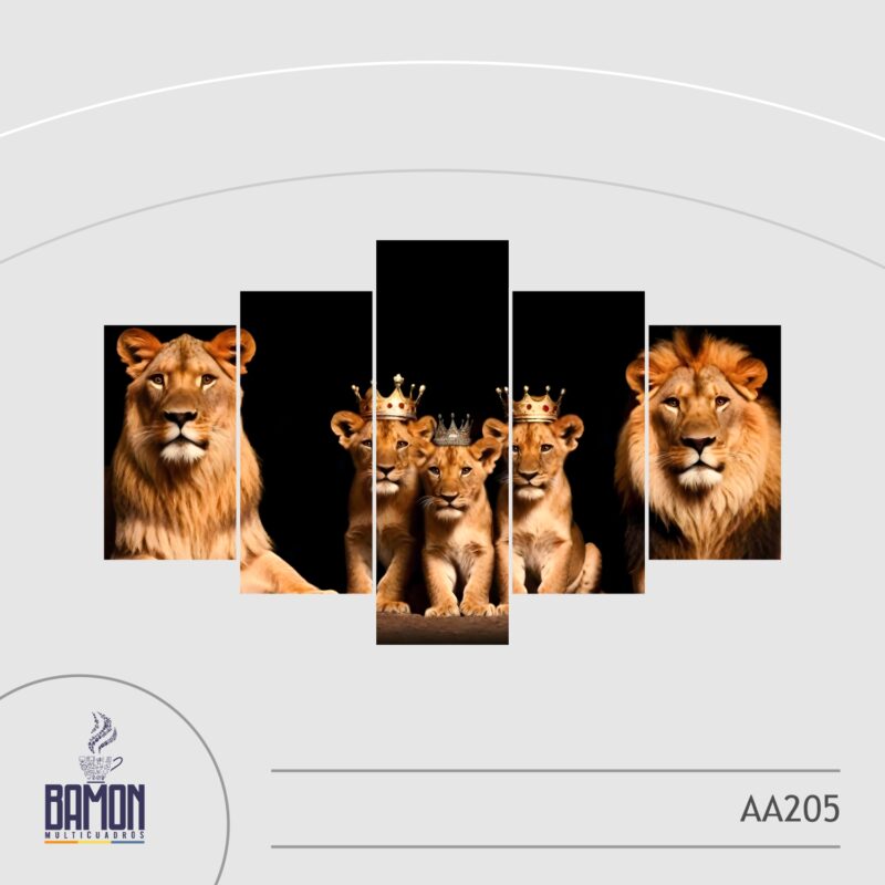 Multicuadro de 5 Piezas AA205