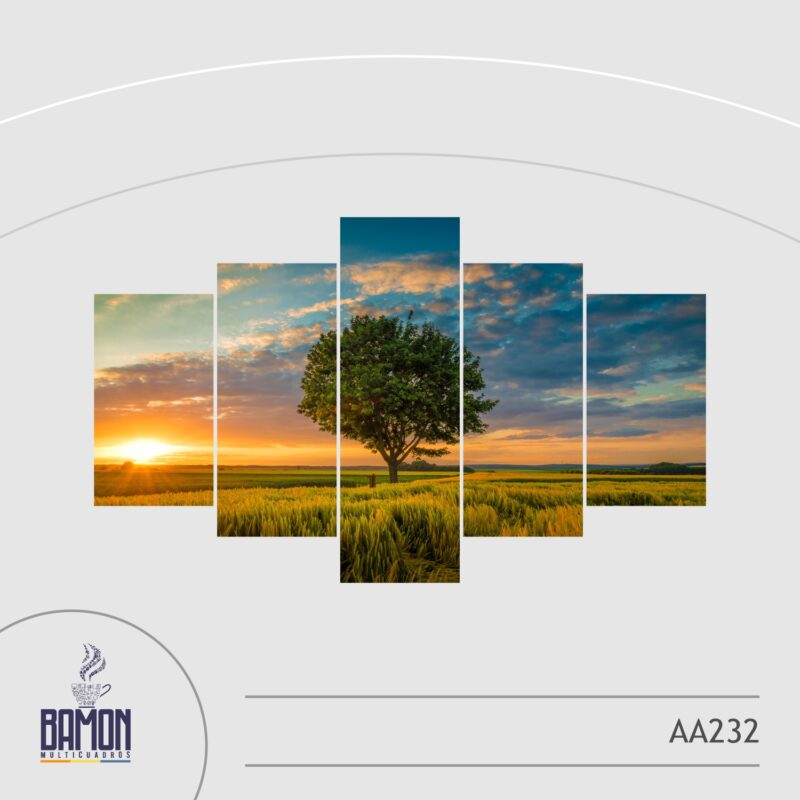 Multicuadro de 5 Piezas AA232