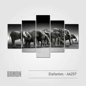 Elefantes - AA257