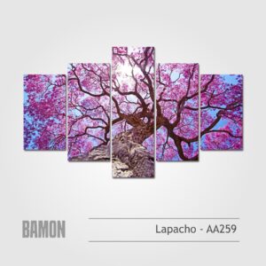 Lapachos - AA259