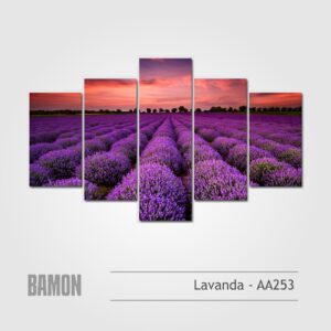 Campo de Lavanda - AA253