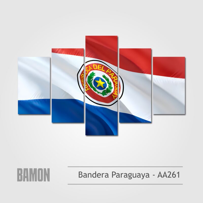 Bandera Paraguaya - AA261