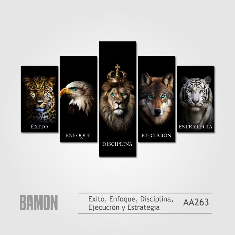 5 Cualidades - AA263