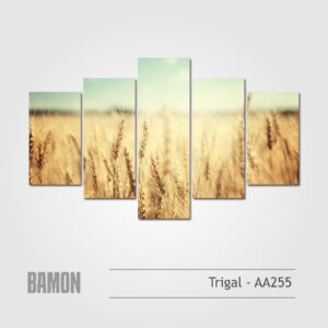 Trigales- AA255