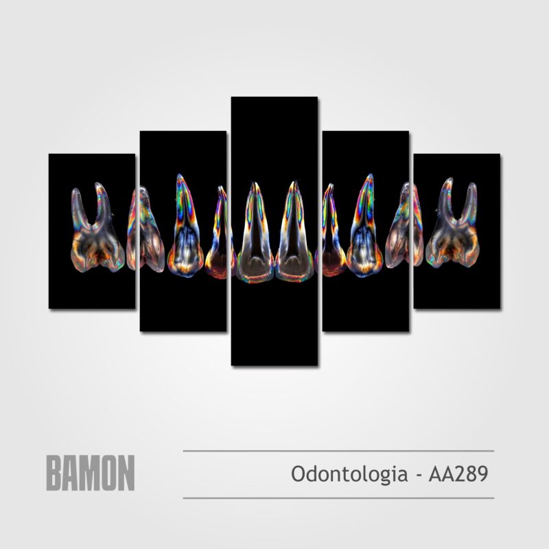Odontologia - AA289