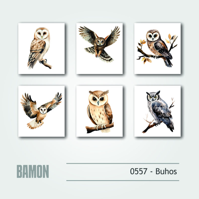 Cuadritos - 0557 - Buhos