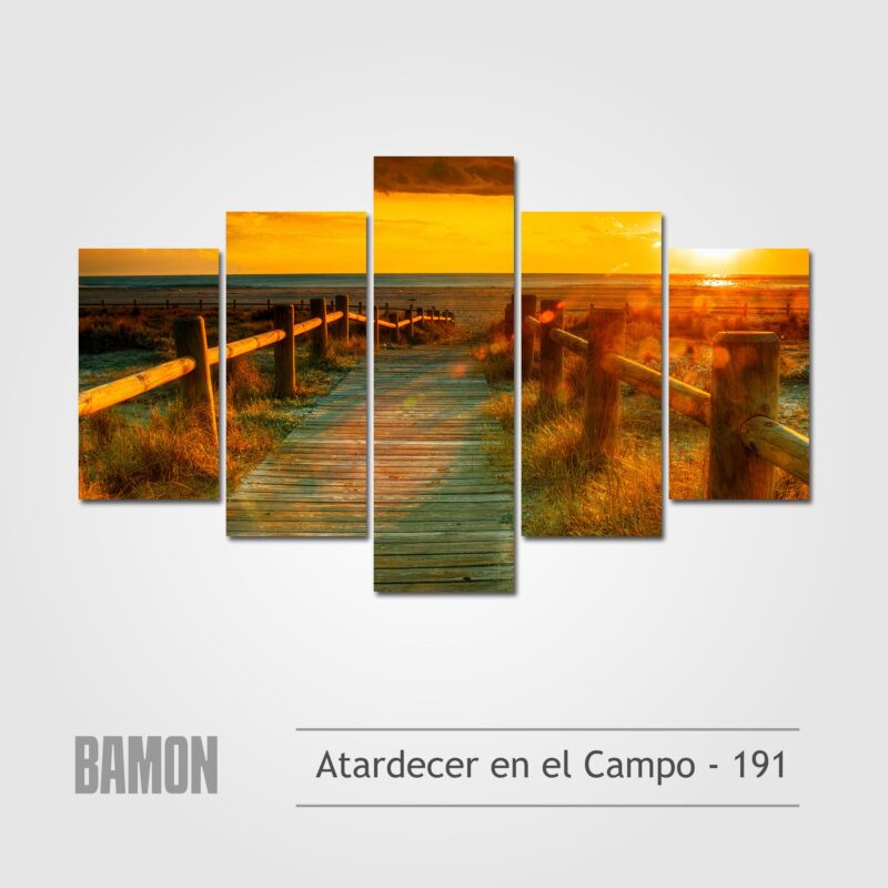 Atardecer en el Campo - 191