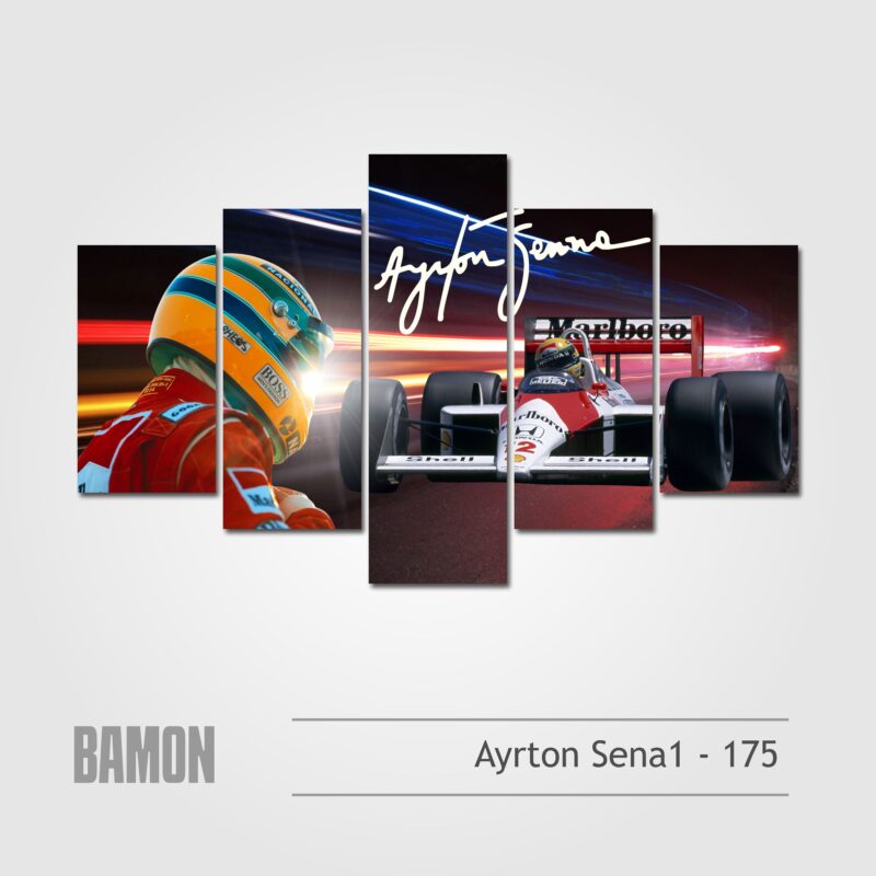 Ayrton Sena1 - 175
