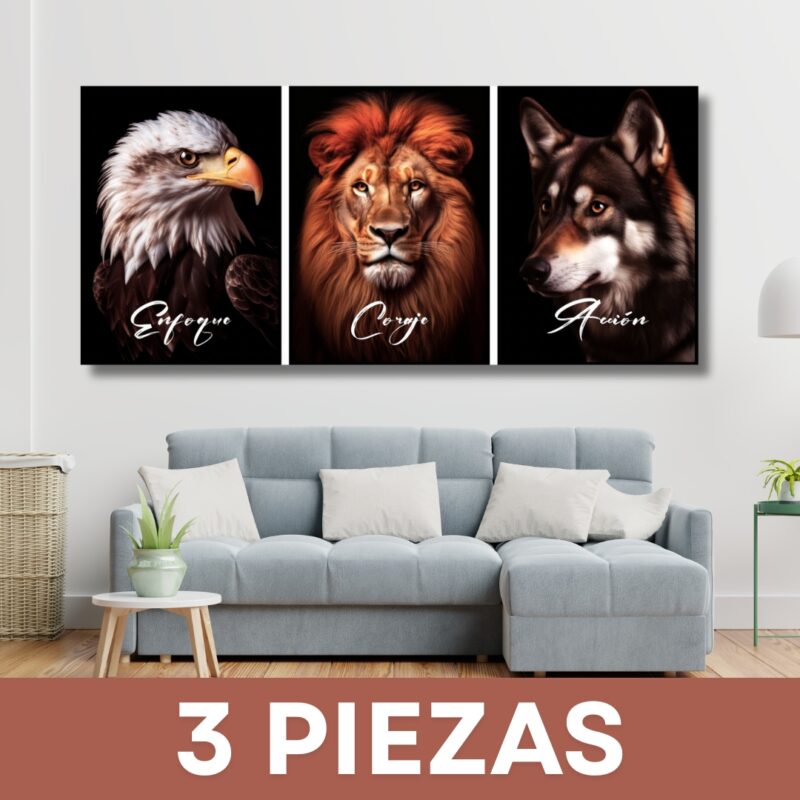 3 Piezas
