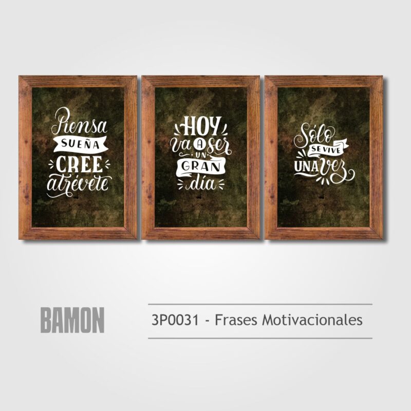 3P0031 - Frases Motivacionales