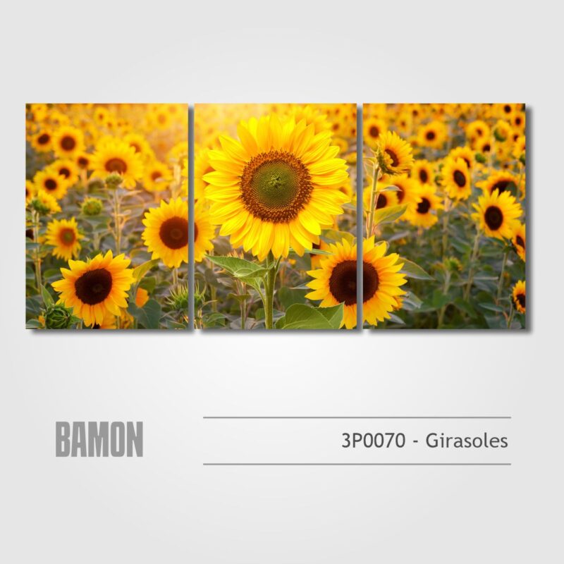 3P0070 - Girasoles