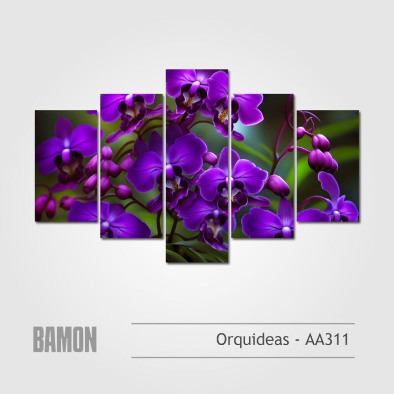 Orquideas - AA311